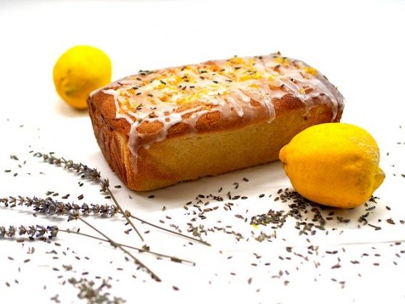 Cake Lemon Food Fresh Eat 