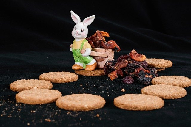 Cookies Toy Ushav Rabbit 