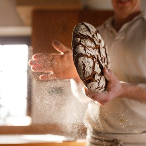 Bio Baker Bread Bake Nutrition 