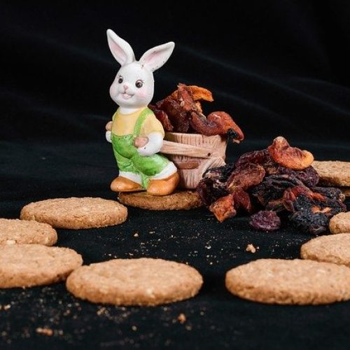 Cookies Toy Ushav Rabbit 
