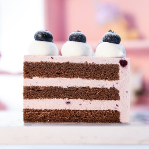 Mousse Cake Blueberry Mousse 